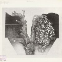 Eelma Herald 1 - Image 4
