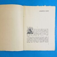 Laarman Märt puulõige 1947 a. Jaan Vahtra Noorusmaa. - Image 4