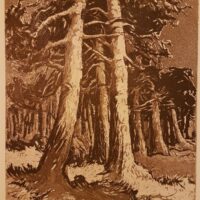 Lepp Esko Männik akvatinta 1970 - Image 3