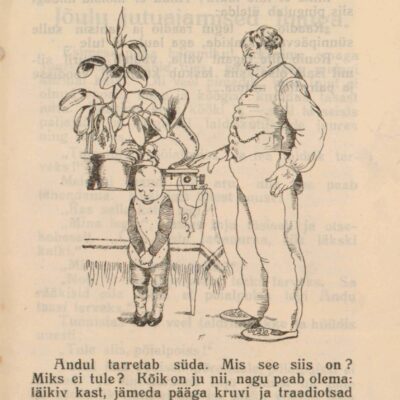 MEI NATALIE “Andu raadio”