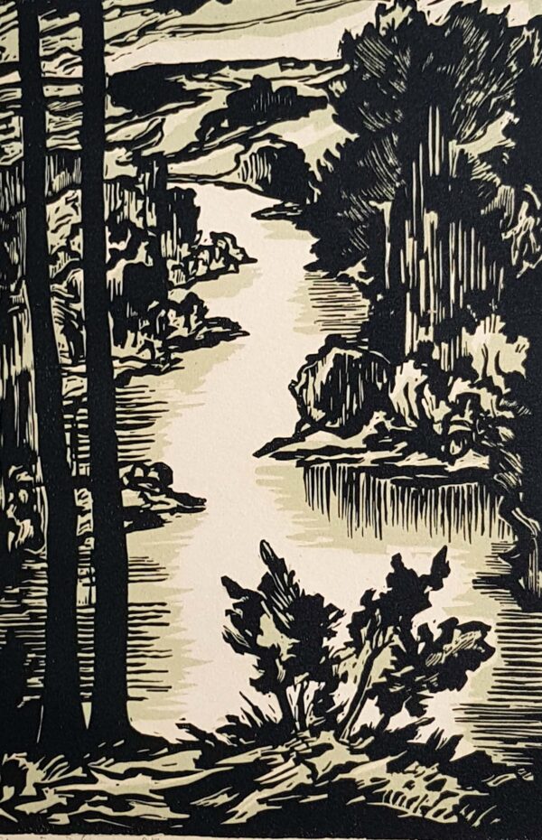 Picture №321, Collection