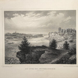 Wilhelm Siegfried Stavenhageni, Baltisaksa kunst 1866.