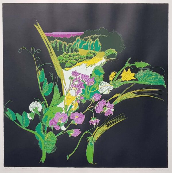 Malle Leis. Suur serigraafia 7/51 "Luha pool" 1986