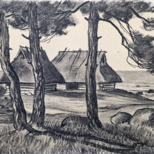 Picture №525, Collection