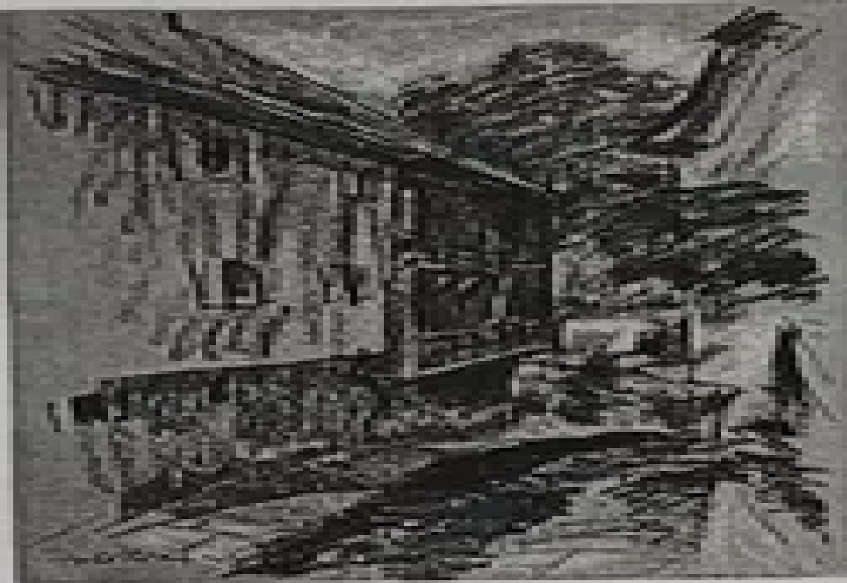 Naha Johann “Immenstadti motiiv”