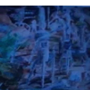 Albert Gulk “Kosmiline maastik konnadega”