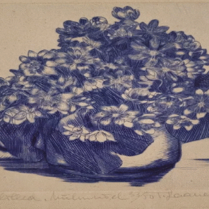 “Sinililled” Tõnis Laanemaa