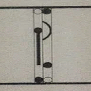 “MASIN 1 C” Leonhard Lapin