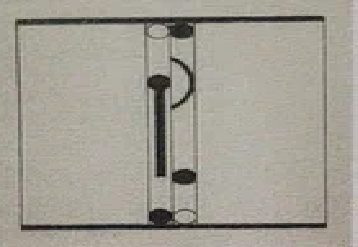 “MASIN 1 C” Leonhard Lapin
