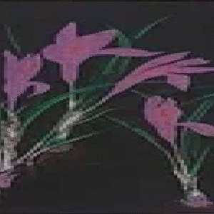 “Botaaniline 4" Malle Leis