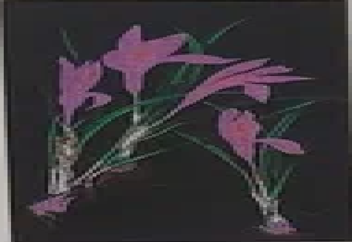 “Botaaniline 4" Malle Leis