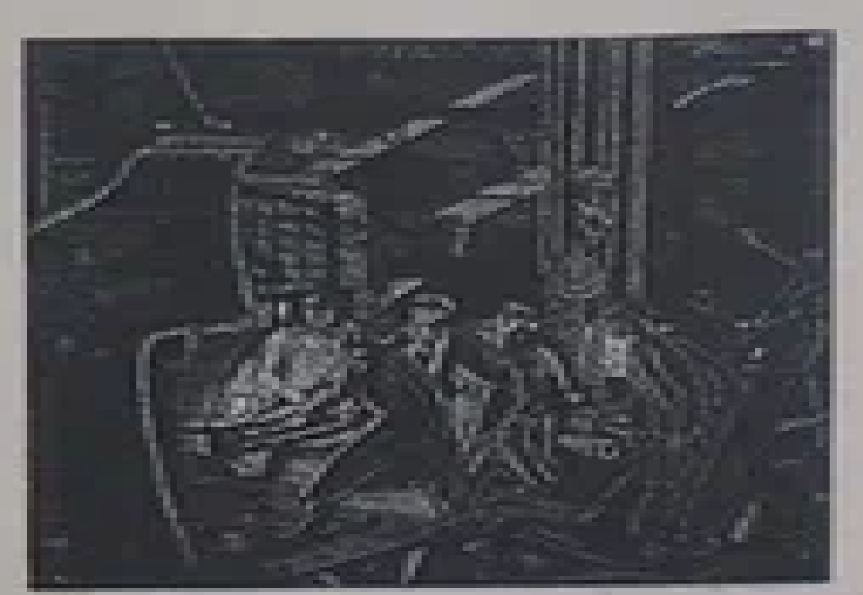 Liivak Paul "Sepad Tallinna Raudtee Tehases"