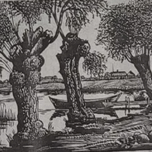 Ferdinand Liiv “Pajud”