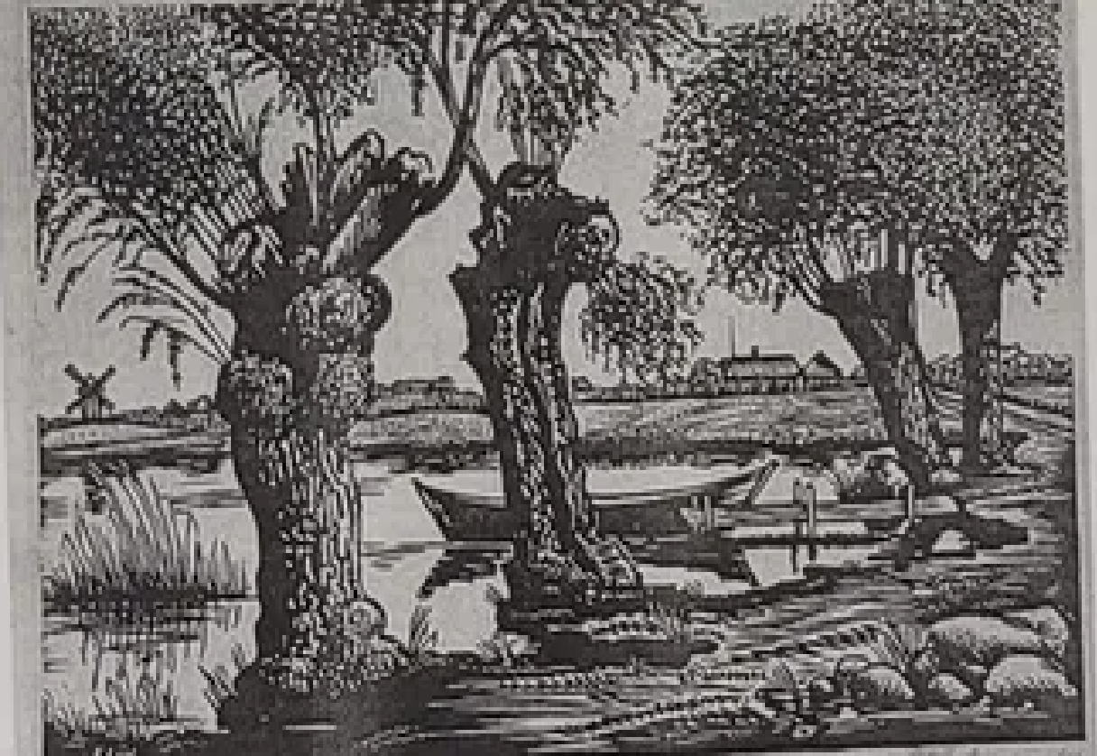 Ferdinand Liiv “Pajud”