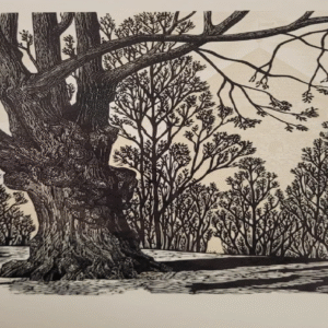 Paul Luhtein “Harju mägi"