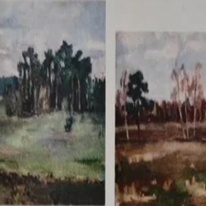 Olga Terri “Lage väli mannikuga”