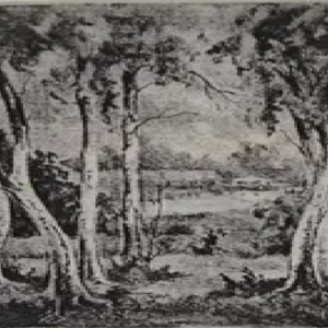 Ernst Tiido “Maastik kaskedega”