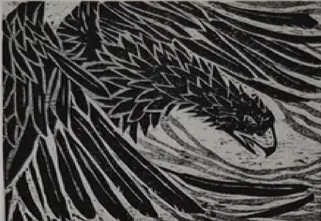 Ilmar Torn “Viimne kotkas”