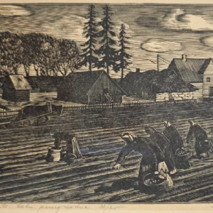 Eugen Vaino “Põhja-Eesti talu 2”