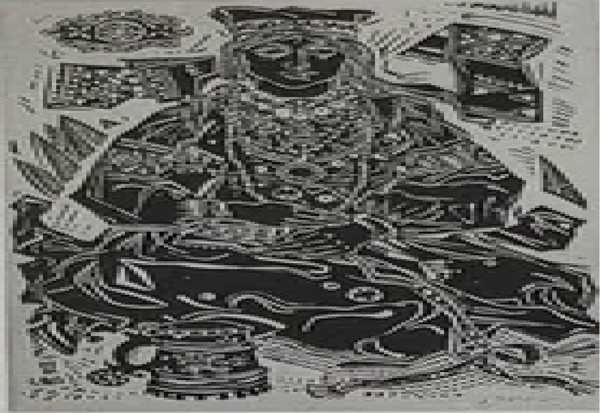 Evald Okas “Eesti neiu”