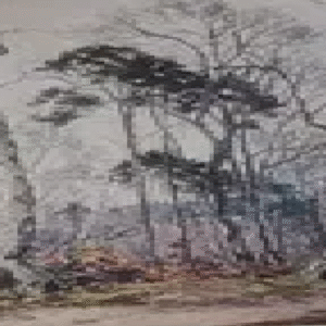 Ottenberg Boris “Mets”