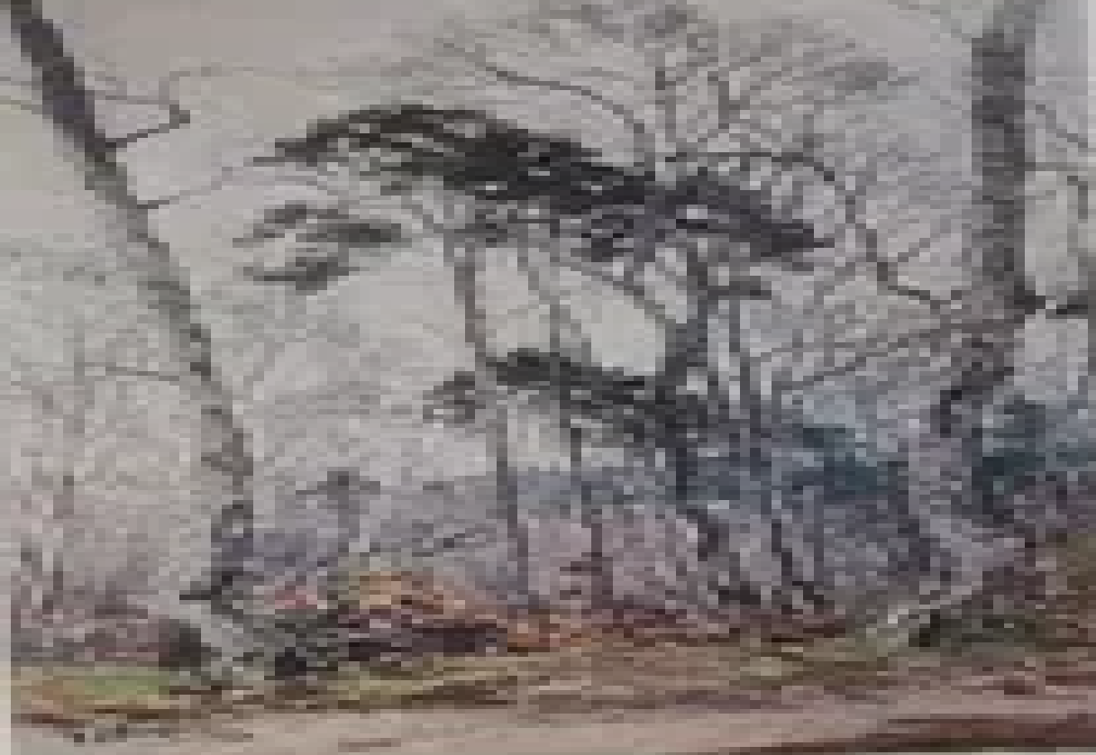 Ottenberg Boris “Mets”