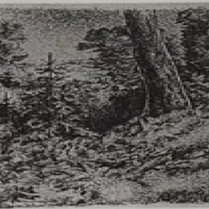 Märt Laarman “Mets”