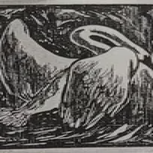 Märt Laarman “Luik”