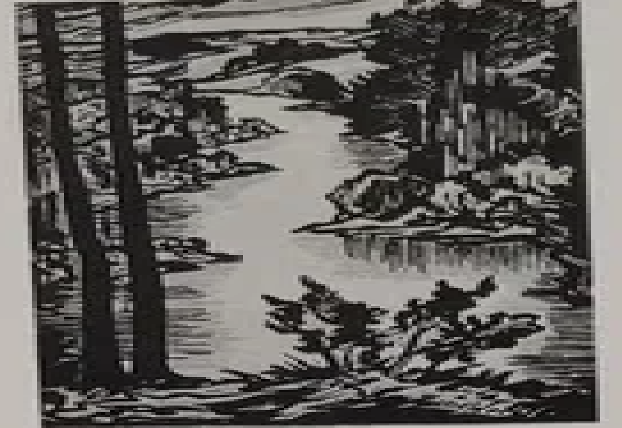 Märt Laarman “Ahja jõgi 2”