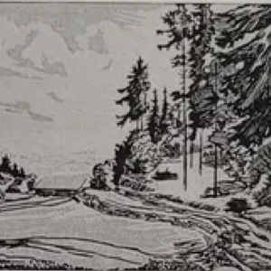 Märt Laarman “Valgjärve maastik”