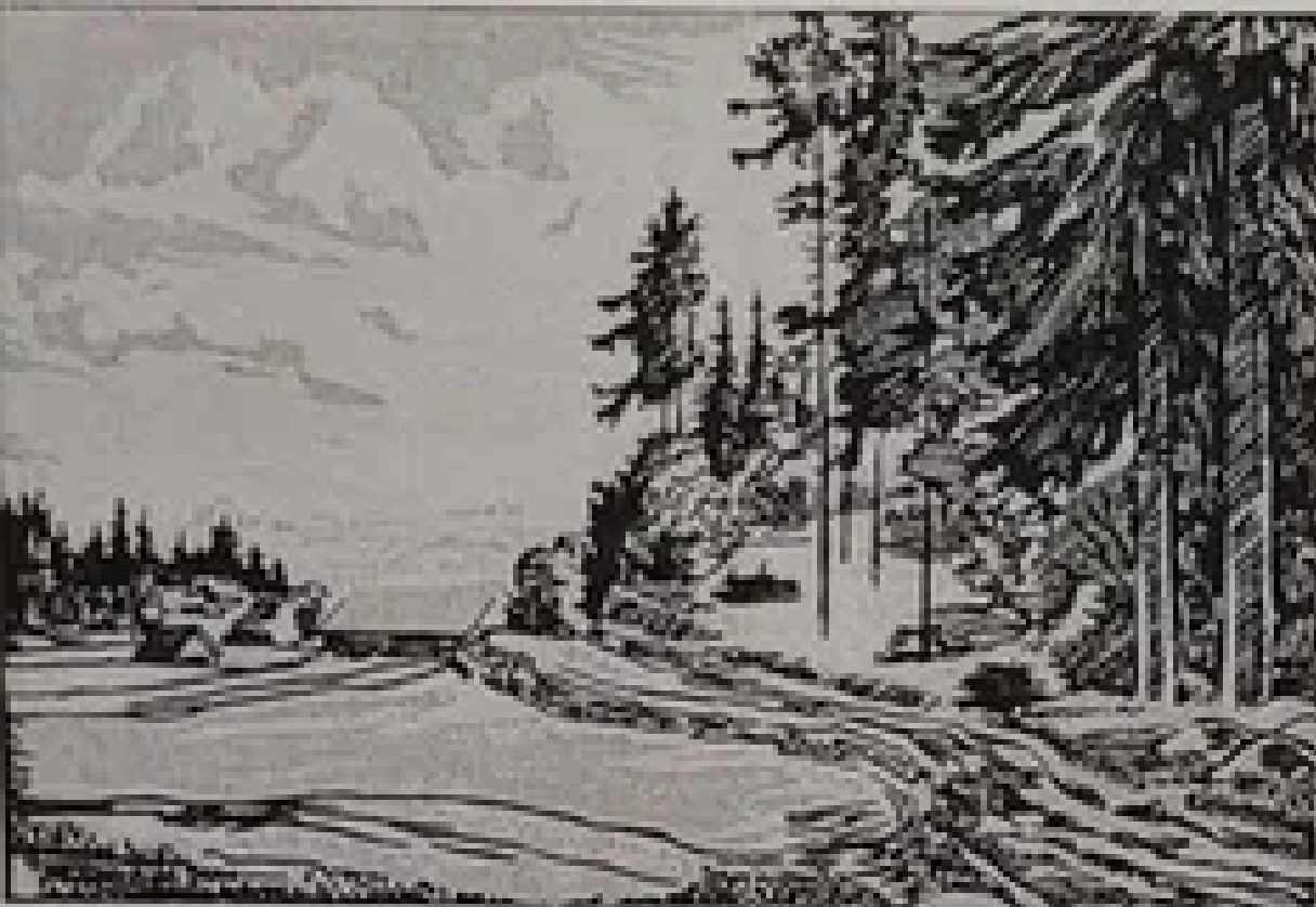 Märt Laarman “Valgjärve maastik”