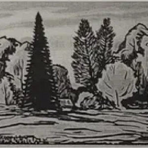 Märt Laarman “Kurgja park”