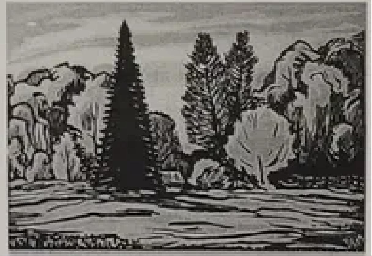 Märt Laarman “Kurgja park”