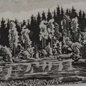 Märt Laarman “Kiidjärve jõel”