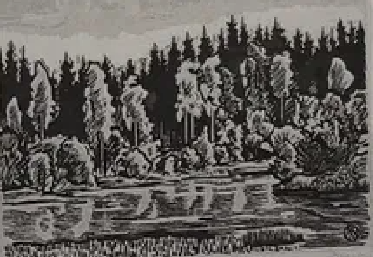 Märt Laarman “Kiidjärve jõel”