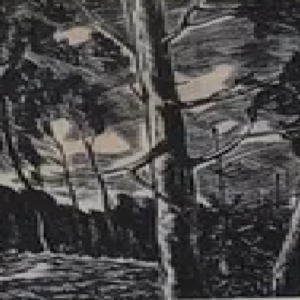 Märt Laarman “Mets”