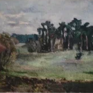 Olga Terri “Lage väli mannikuga”