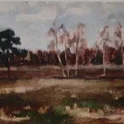 Olga Terri “Lage väli mannikuga”