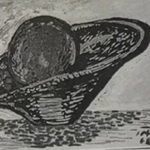 Valdur Ohakas “Vili kausis”