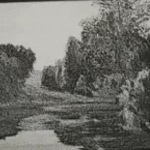 Valdur Ohakas “Järvemaastik”