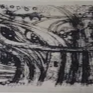 Erich Pehap "Teed ja tuled"