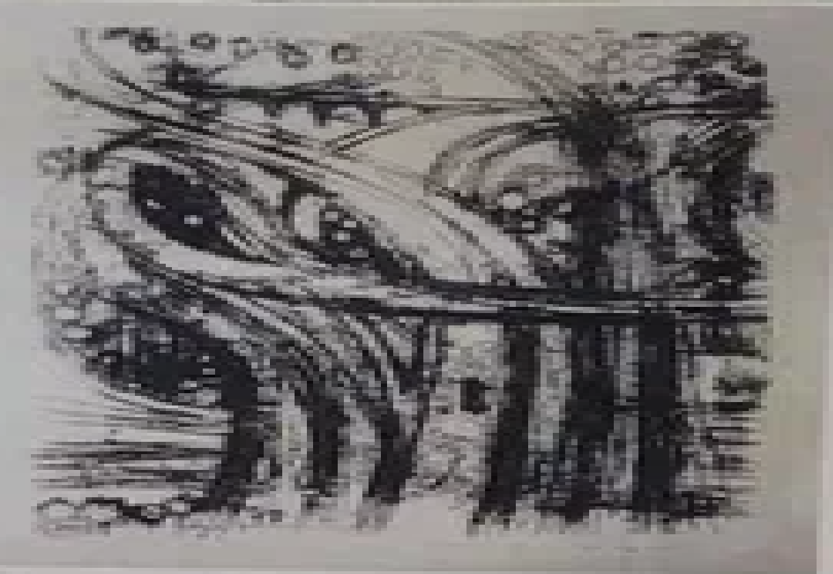 Erich Pehap "Teed ja tuled"