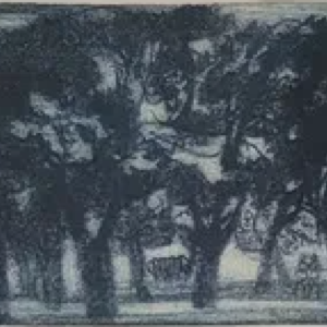 Erich Pehap "Pargis"