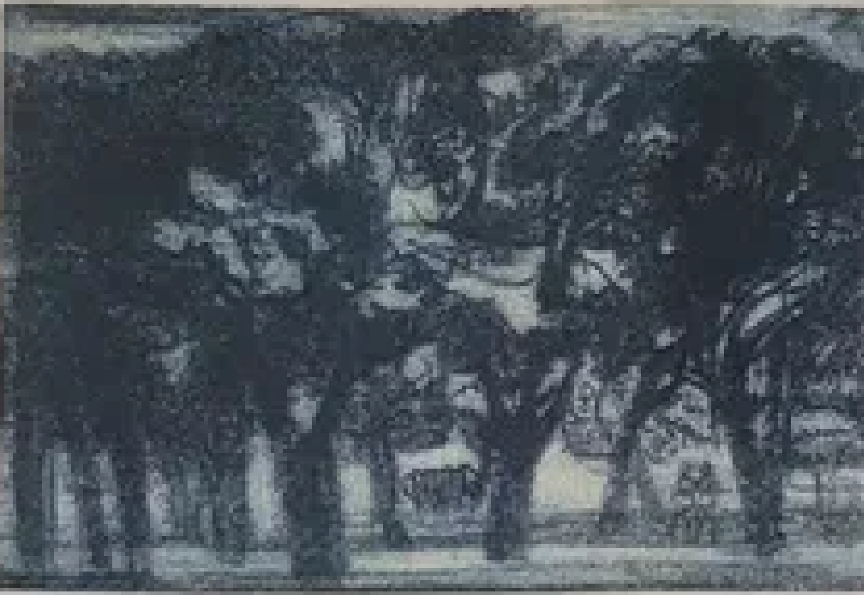 Erich Pehap "Pargis"