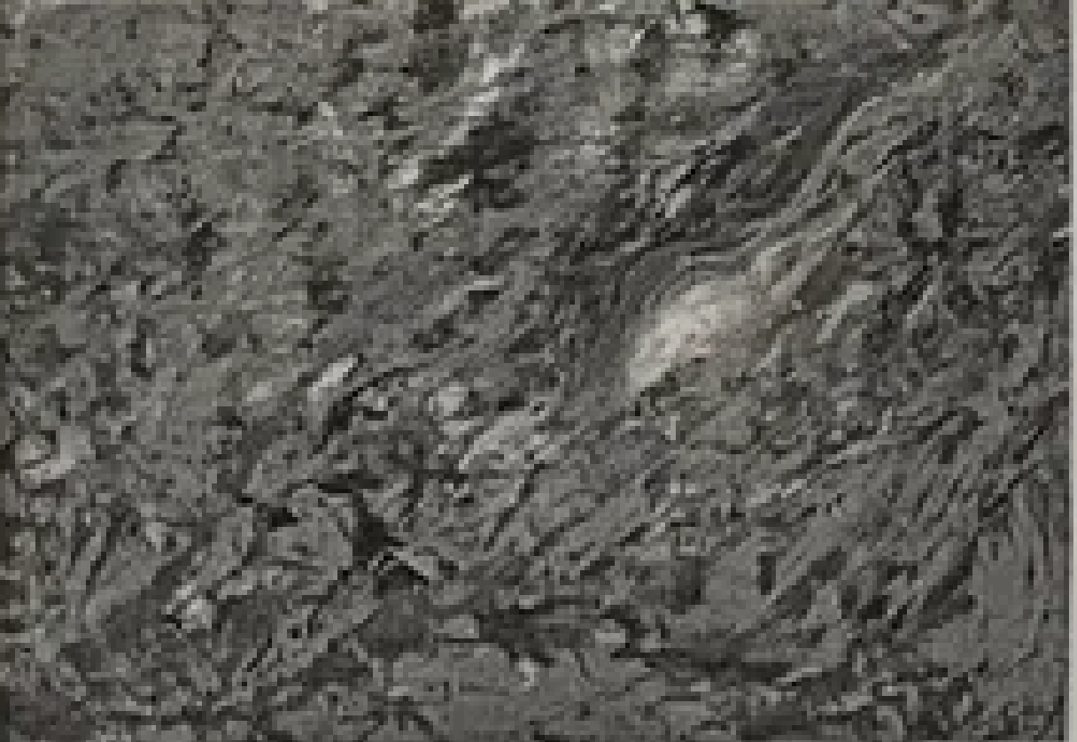 Avo Paistik “Läbikumamine"