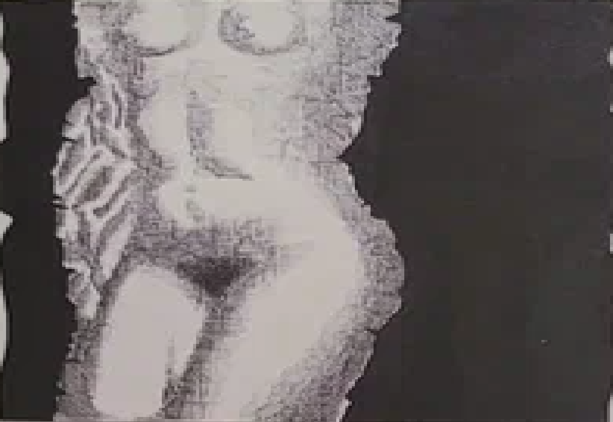 Jüri Palm “Art tumedal taustal”