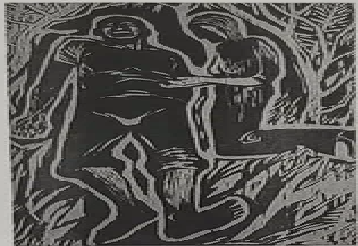 Jüri Palm “Inimene vari”