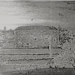 Ilmar Ojalo  “Vaade Paksule Margareetale”