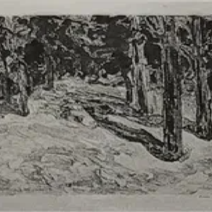 Väino Päris “Metsaalune”