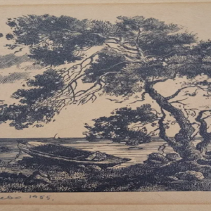 Ede Peebo "Paat rannas"